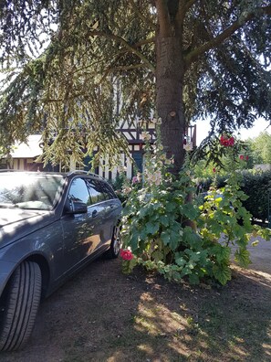 Terrein van de accommodatie