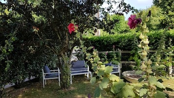 Terras