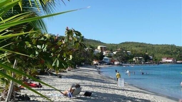 A beach with clear blue water, palm trees, and buildings in the background.
