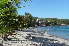 Una playa con agua azul cristalina, palmeras y edificios al fondo.