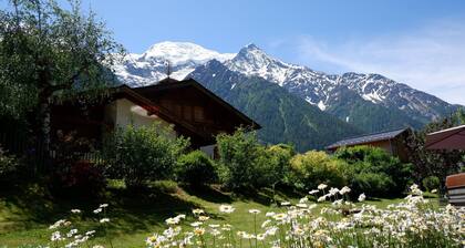 EN CHALET JARDIN FACE CHAINE DU MONT-BLANC DUPLEX MANSARDĂ 40M2 âïž âïžâïžâïžâïž