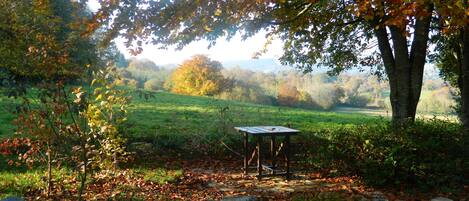 A stone wall, a wooden table, and a grassy field with trees in the background.