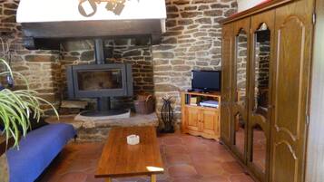 Télévision, cheminée, lecteur de DVD, livres