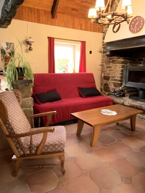 TV, fireplace, DVD player, books