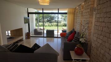 Télévision, cheminée, livres