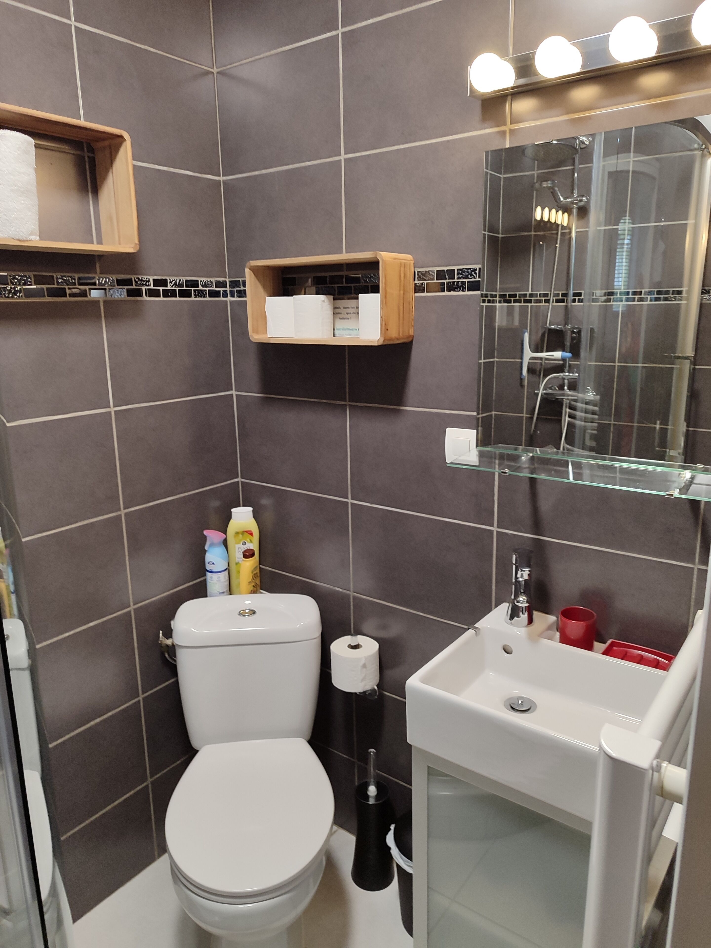 A bathroom with a toilet, sink, mirror, and shelves with toiletries.
