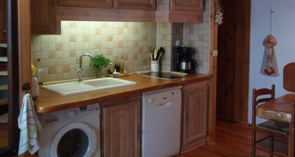 Beautiful apartment in a residence in wood on the slopes.