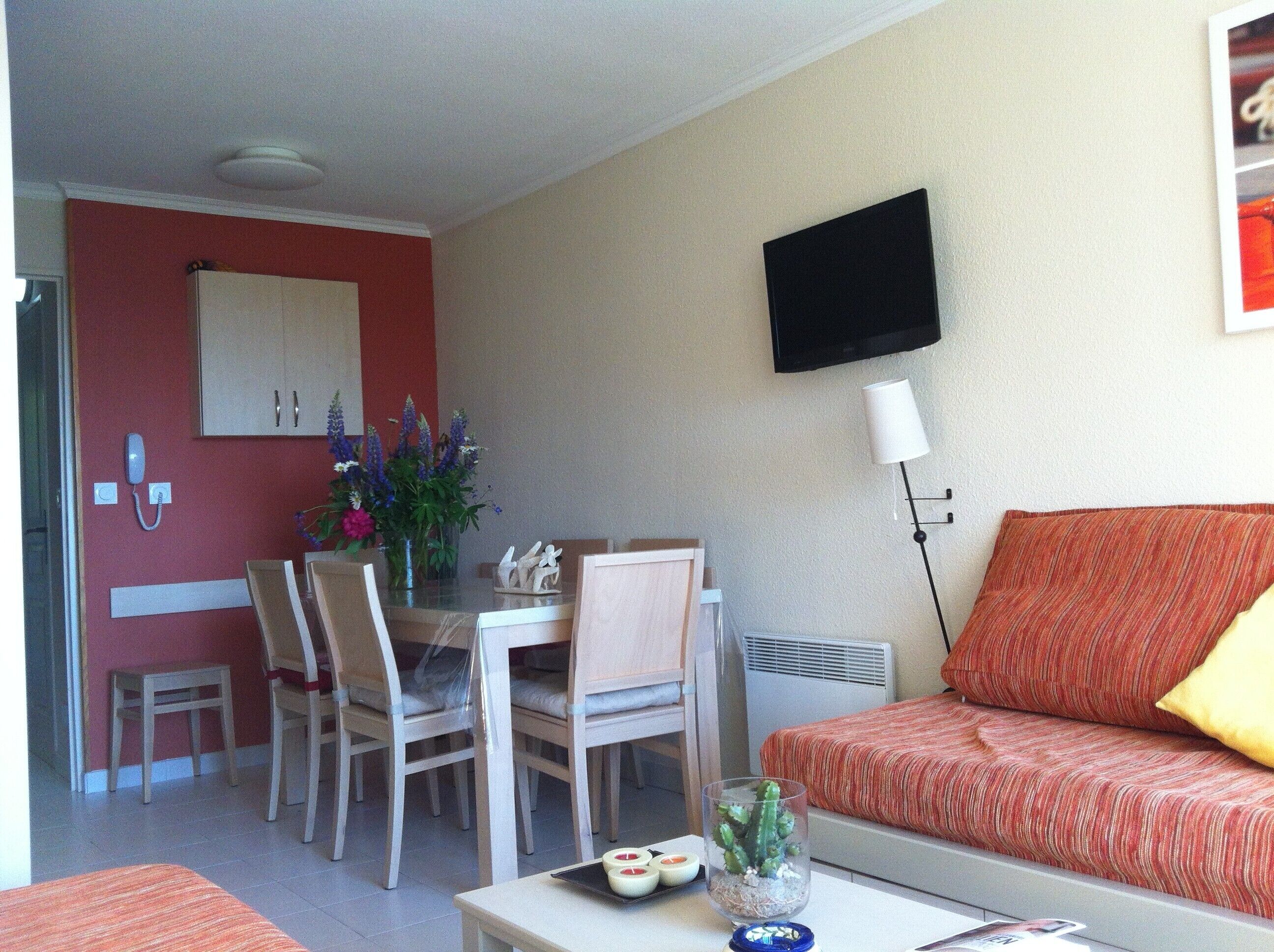 テレビ、卓球台、書庫