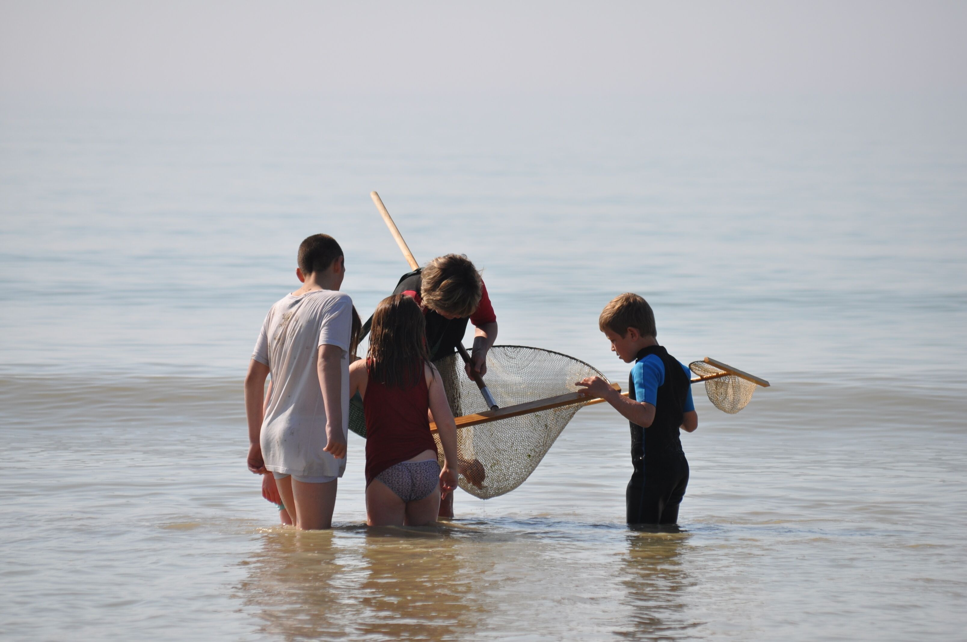 La pêche à la crevette amuse les enfants comme les grands