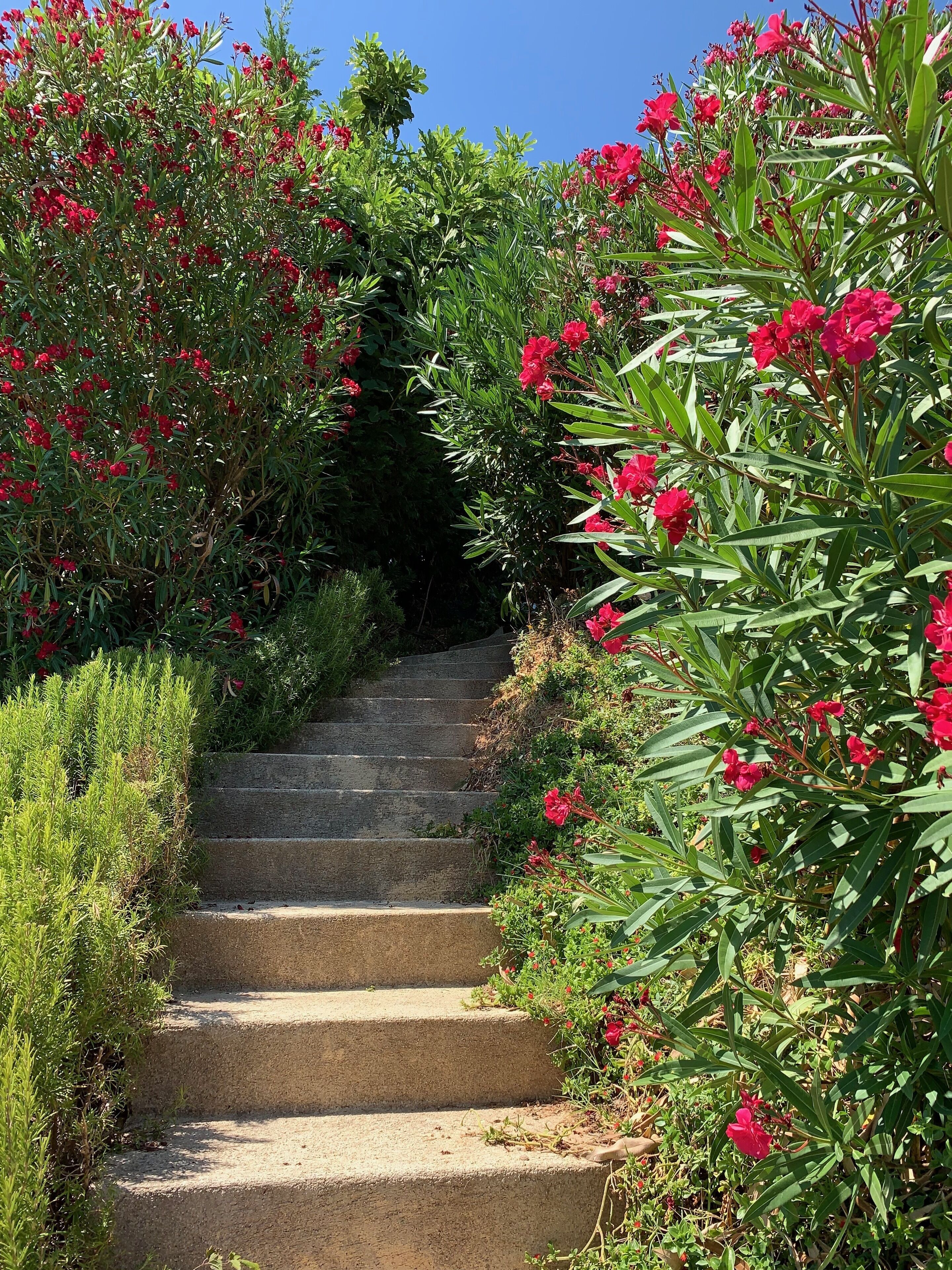 Overnattingsstedets uteområder