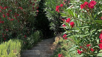 Overnattingsstedets uteområder