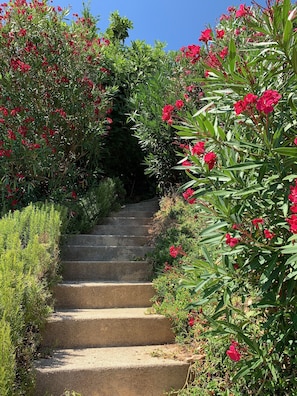 Overnattingsstedets uteområder