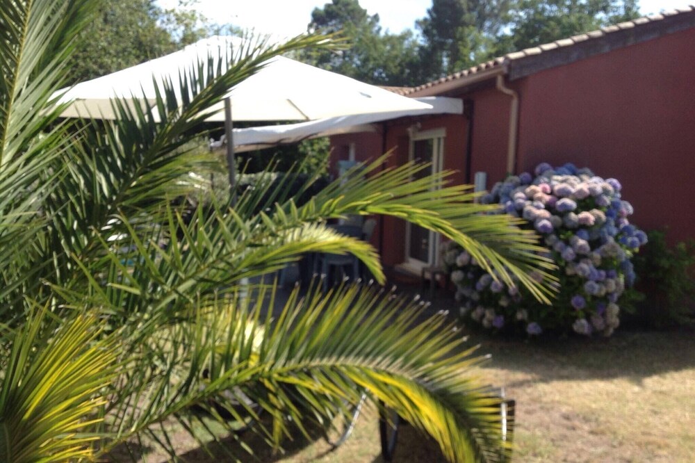 Wifi, Chromecast, near beach, Calm, Bikes available
