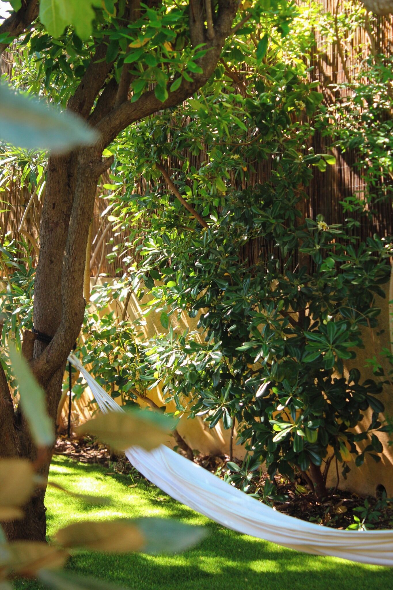 A hammock tied between trees in a garden with a bamboo fence in the background.