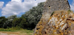 Esterni