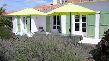 Terras