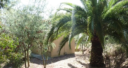 Mini-villa de 300m de playa.
