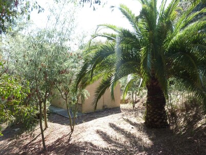 Mini-villa de 300m de playa.