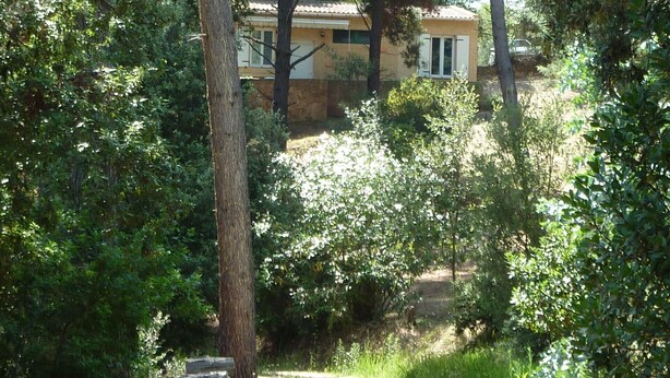 A dirt path leading to a building surrounded by dense trees. - Mini-villa 300m beach. (Calcatoggio)