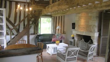 TV connectée, cheminée, lecteur de DVD, livres