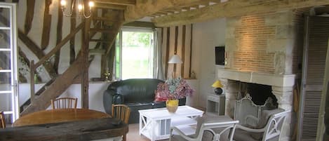 TV connectée, cheminée, lecteur de DVD, livres