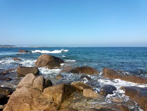 Vue sur la plage/l’océan