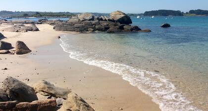 Superbe maison récente classée **** vue mer-50m de la mer - Landrellec/Trégastel