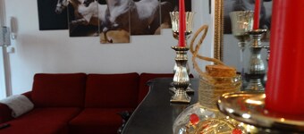 Large studio at the foot of the Château with private courtyard