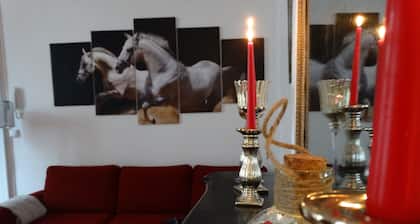 Large studio at the foot of the Château with private courtyard