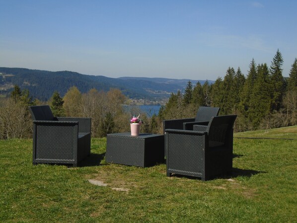 A grassy outdoor seating area with wicker furniture and a flower vase.