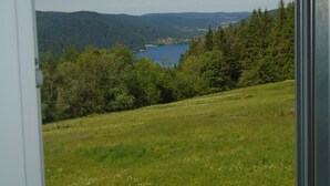 A view through a window of a grassy hillside with a lake and forested mountains in the background.