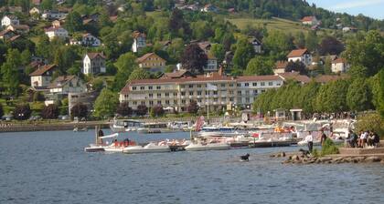 Appartement dans ancienne ferme rénovée dominant le lac et la vallée