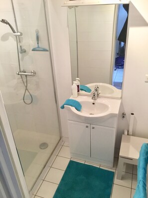 Shower, hair dryer, toilet paper