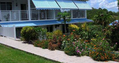 '' The Zandoli '' T3 Bottom of very quiet villa in Ste Anne free Wi-fi