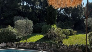 A rectangular swimming pool with a stone wall and wooden deck, surrounded by a garden with various shrubs and trees.