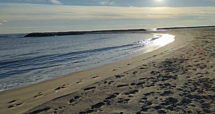 Studio apartment in attractive residence on garden level, Loggia, Terrace with trees.