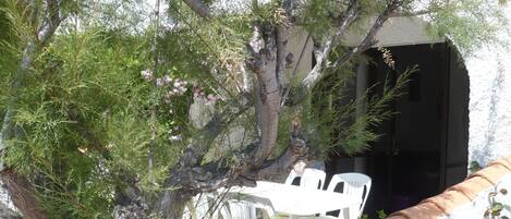 Restauration en plein air