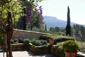 Property grounds - Authentic Bastide in Aix en Provence Clim, Swimming pool, 5 bedrooms, 10 travellers (Le Tholonet)