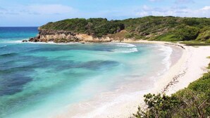 Une plage aux eaux turquoise et limpides, un rivage sablonneux et une colline verdoyante en arrière-plan.