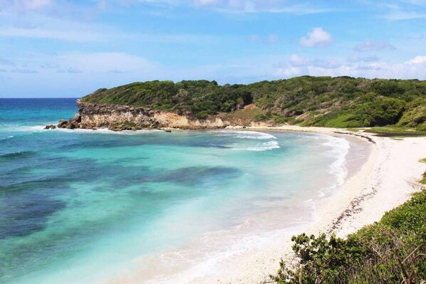 Serviettes de plage