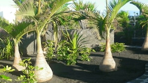 Un jardin agrémenté de palmiers plantés dans de grands pots décoratifs.
