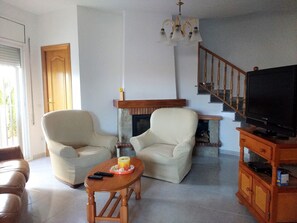 TV, fireplace, books