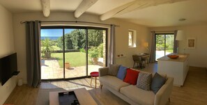TV connectée, cheminée