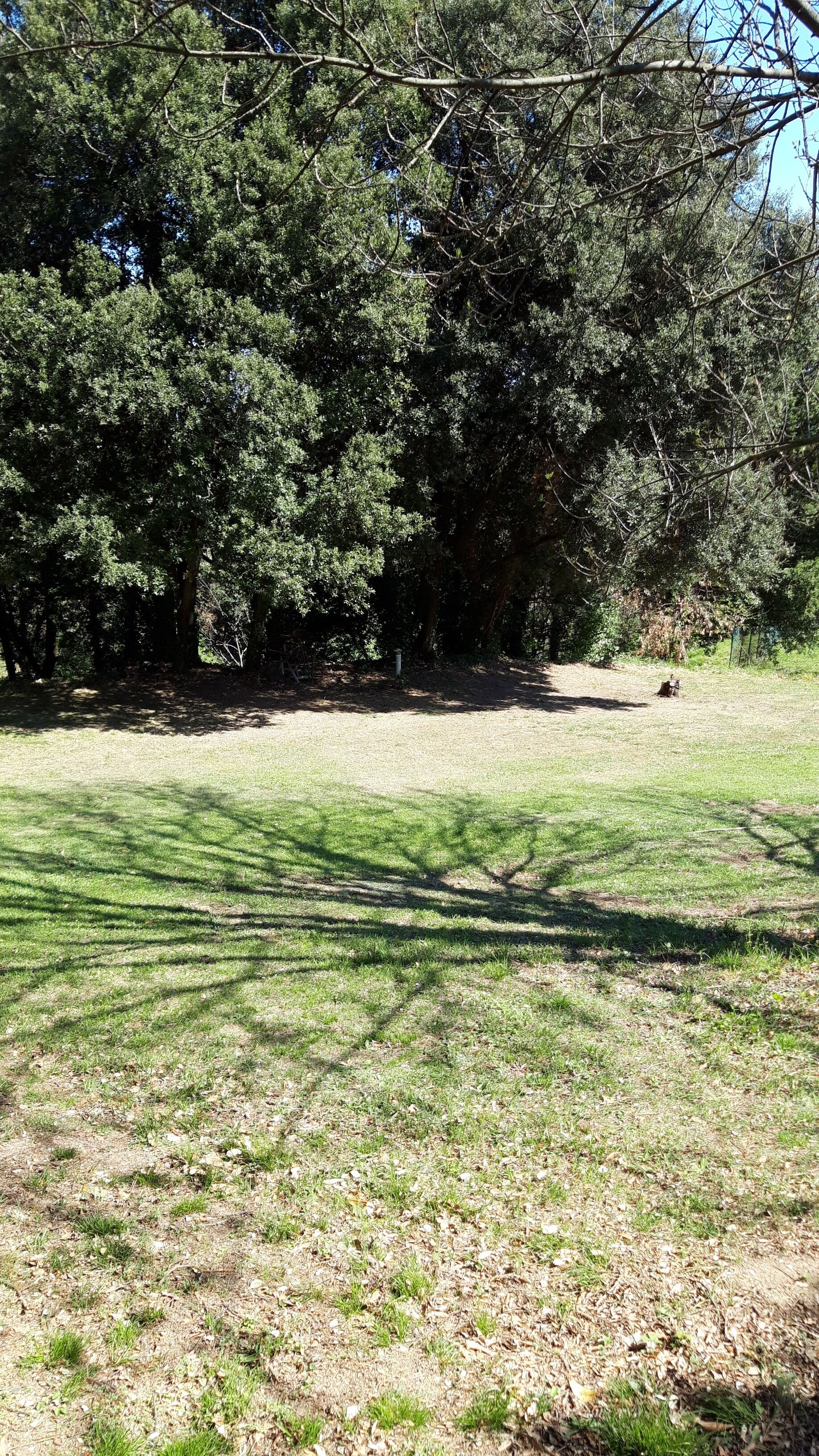 jardin du mas les billes ref google