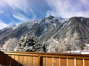 Property grounds - 1/2 Chalet close to the center, quiet, private parking, 4 bedrooms 2 bathrooms (Chamonix-Mont-Blanc)