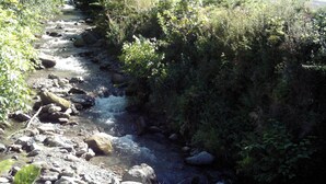 A stream flowing through a rocky bed, surrounded by dense greenery and trees. - Residence A. LE CAPUCIN, N ° 68 Apartment 4 people facing LUGE TENNIS COURTS (Mont-Dore)
