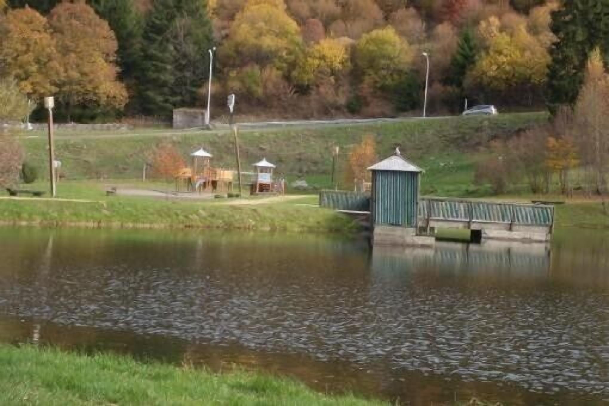 A tranquil park with a pond, picnic areas, and a small shelter.