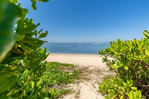 A beach path leading to the ocean, surrounded by green foliage.