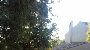 Un chemin de pierres qui traverse un jardin, avec des arbres et un bâtiment en arrière-plan.