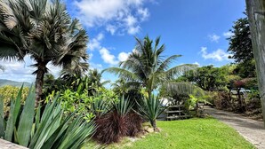 Ein Garten mit verschiedenen tropischen Pflanzen und einem Holzzaun.